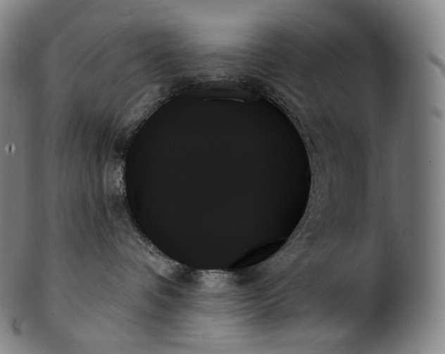 X0000099950336200806061548