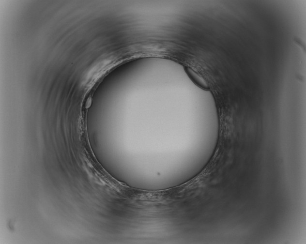 X0000099950338200806061547