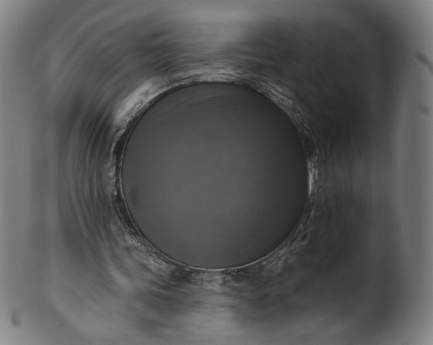 X0000099950339200806061547