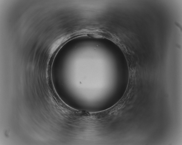 X0000099950340200806061547