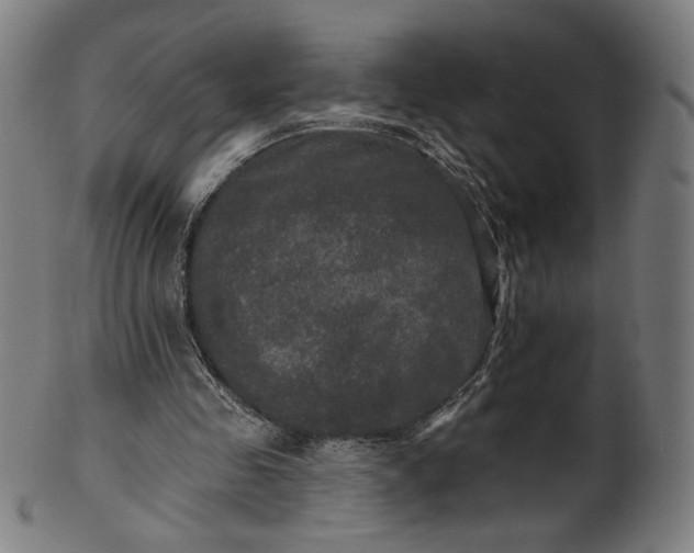 X0000099950341200806061547