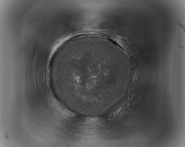 X0000099950342200806061547