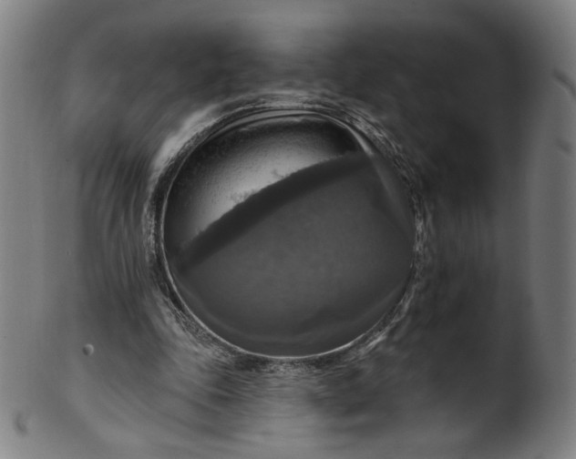 X0000099950343200806061547