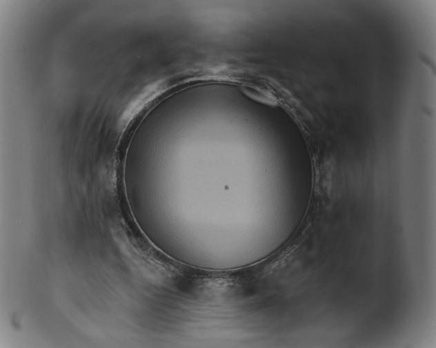 X0000099950344200806061547