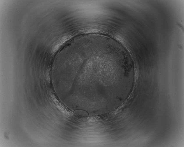 X0000099950345200806061547