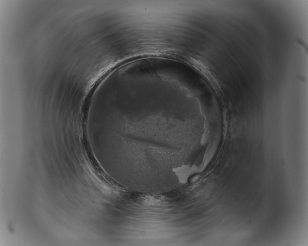 X0000099950346200806061547