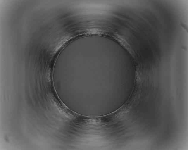 X0000099950347200806061547