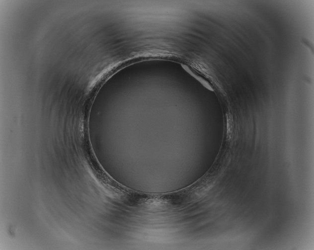 X0000099950348200806061547