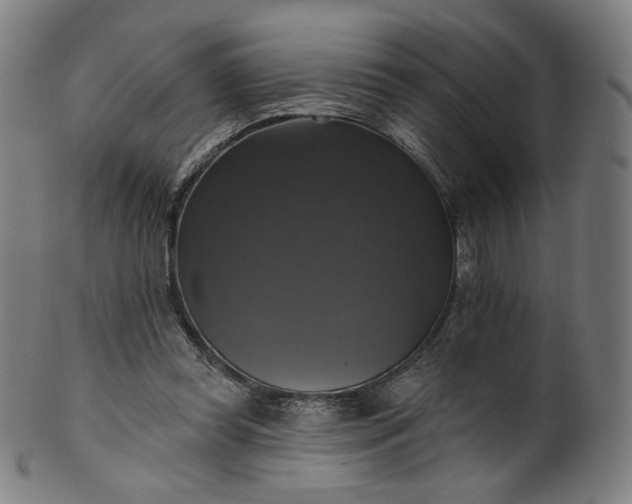 X0000099950349200806061547