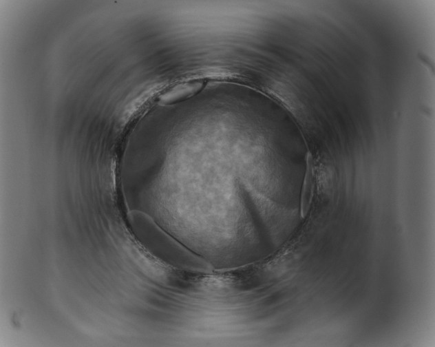 X0000099950350200806061547