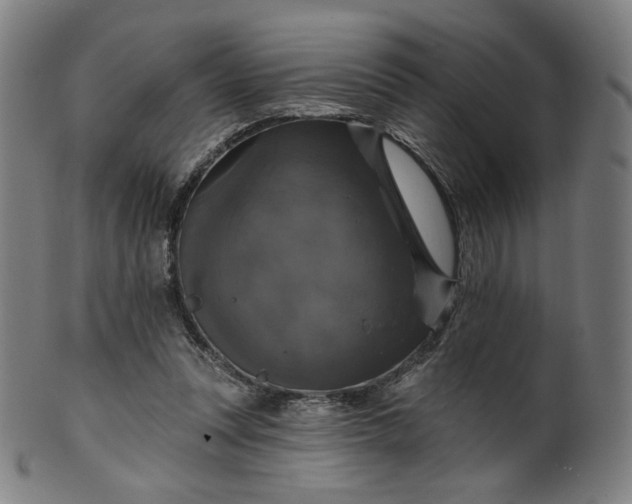 X0000099950351200806061547