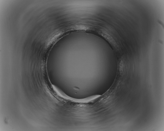 X0000099950352200806061547