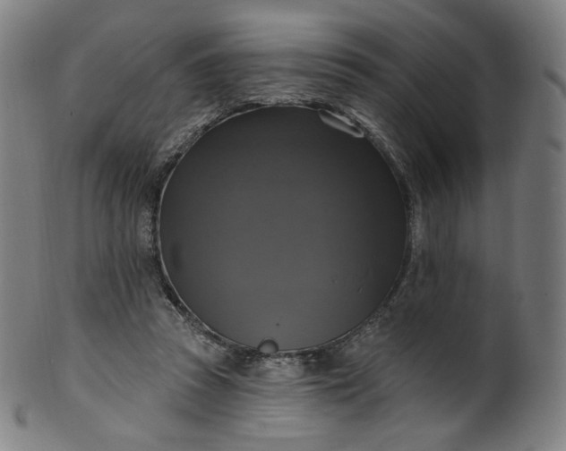 X0000099950353200806061547