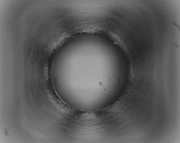 X0000099950354200806061547