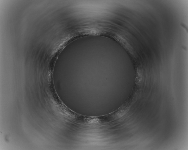 X0000099950355200806061547