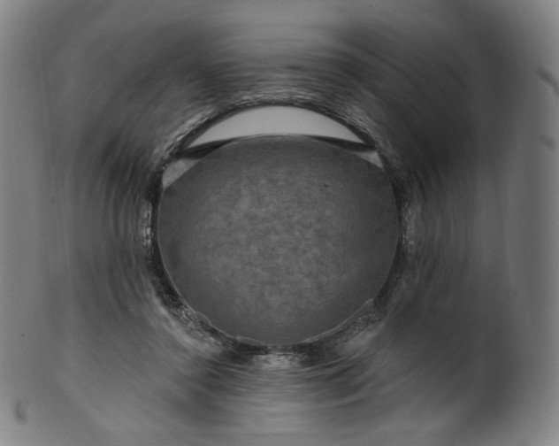 X0000099950356200806061547