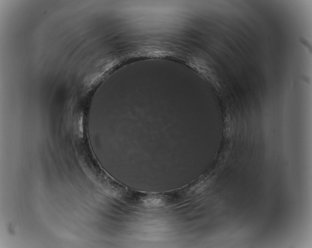 X0000099950358200806061547