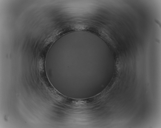 X0000099950359200806061547