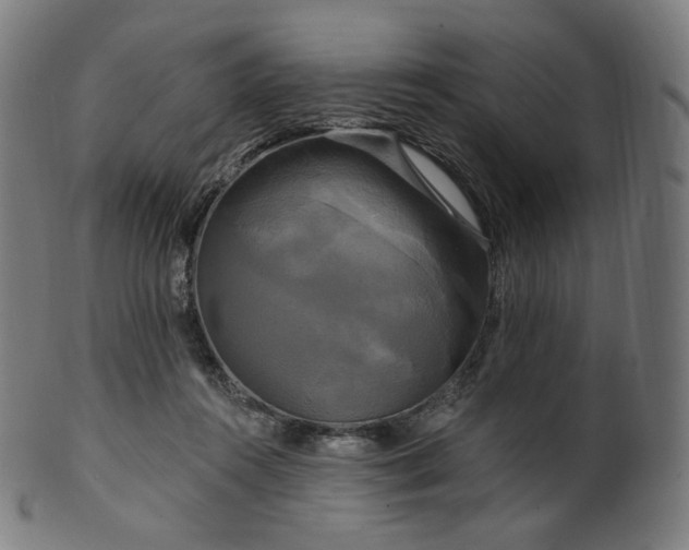 X0000099950360200806061547