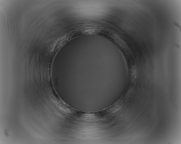 X0000099950361200806061547