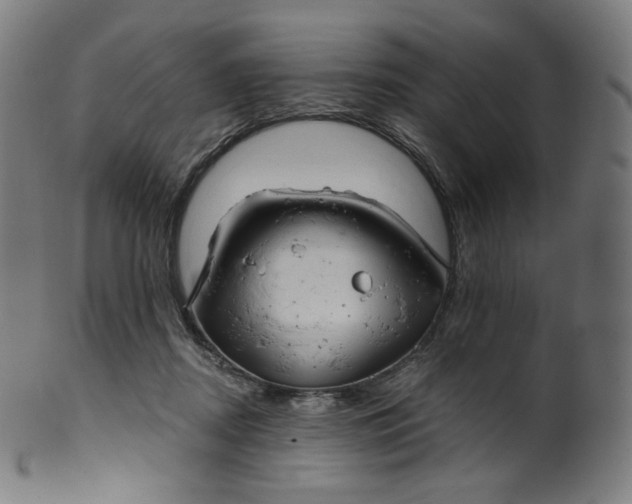 X0000099950362200806061547