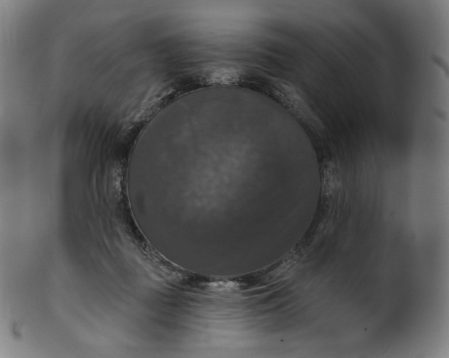 X0000099950363200806061548