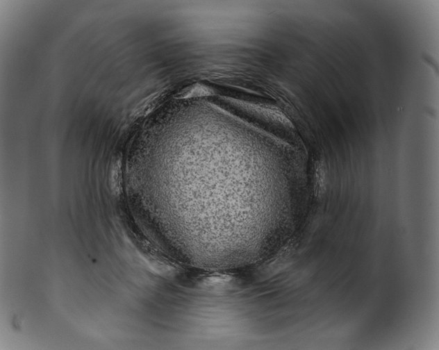 X0000099950364200806061548