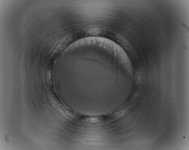 X0000099950365200806061548