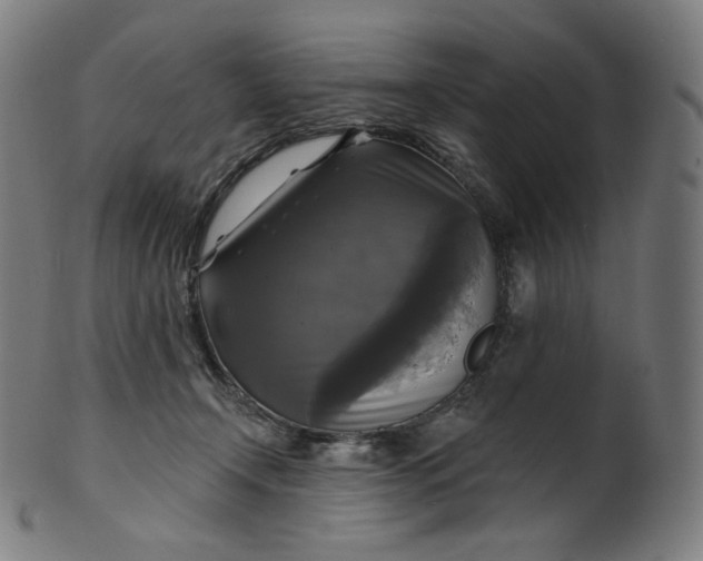 X0000099950366200806061548