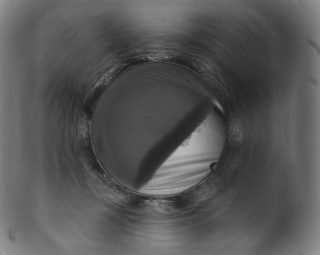 X0000099950367200806061548