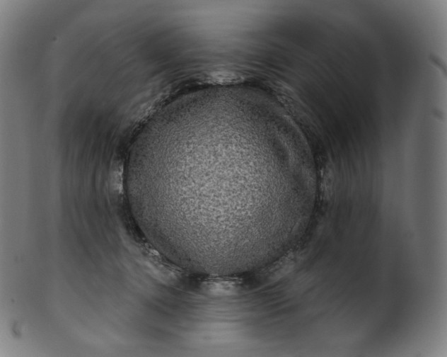 X0000099950368200806061548