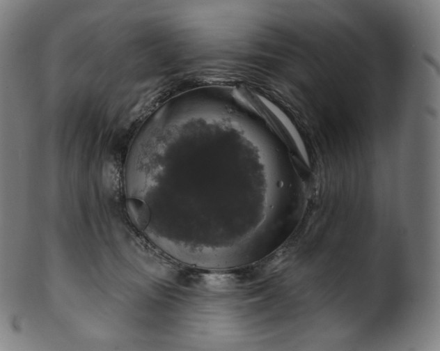 X0000099950371200806061548