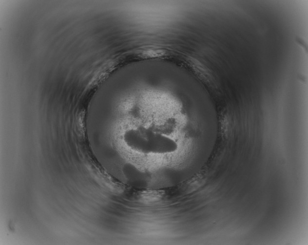 X0000099950373200806061548