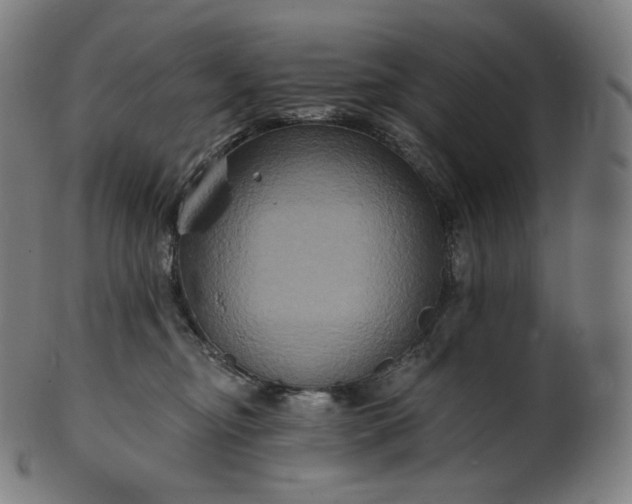 X0000099950374200806061548