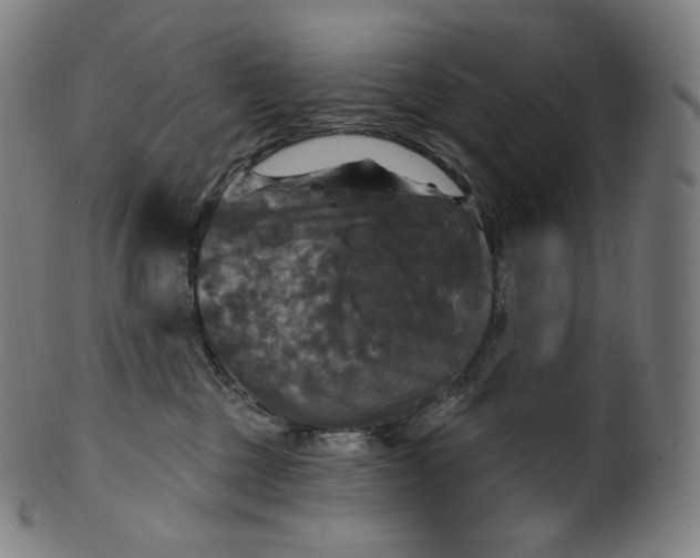 X0000099950377200806061548