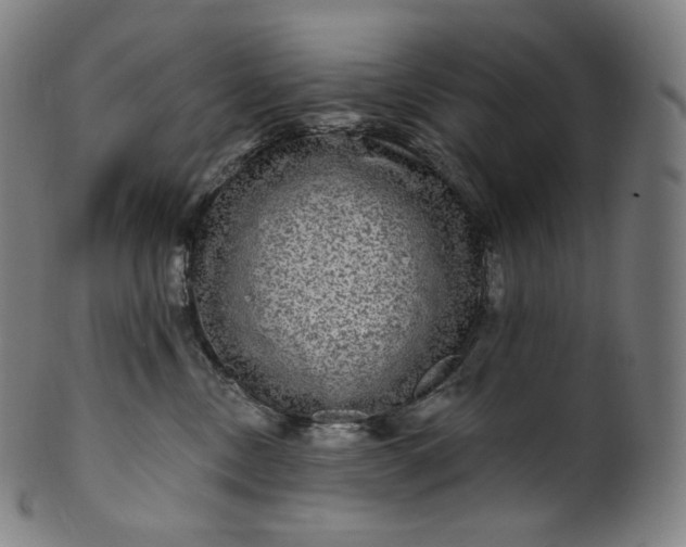 X0000099950378200806061548