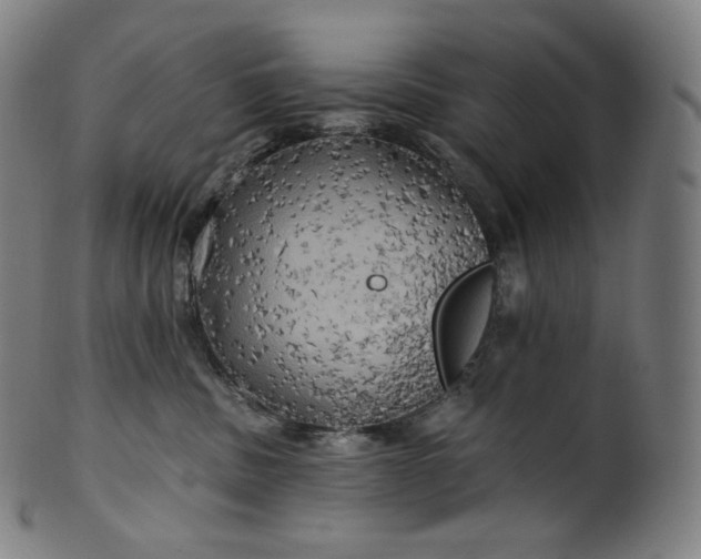 X0000099950379200806061548