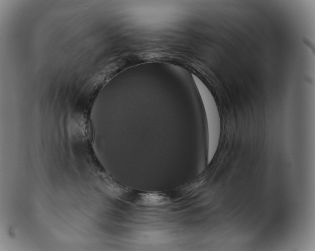 X0000099950380200806061548