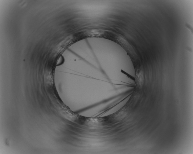 X0000099950381200806061548