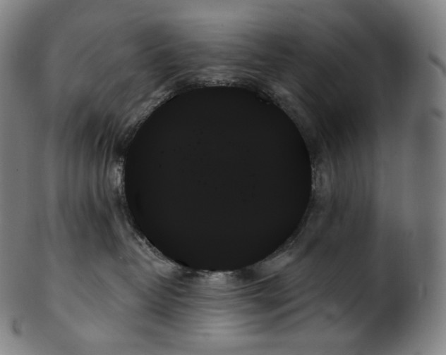 X0000099950382200806061548