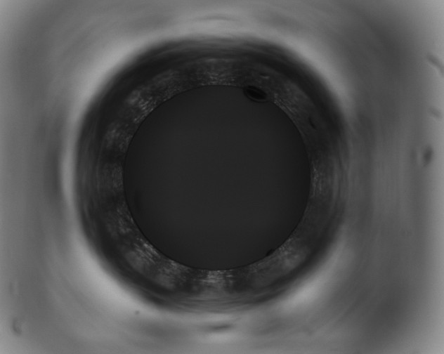 X0000099950383200806061548