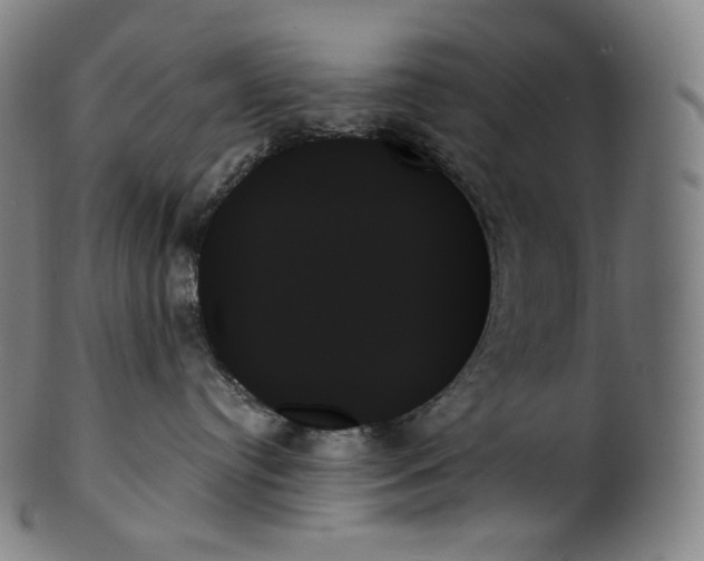 X0000099950384200806061548