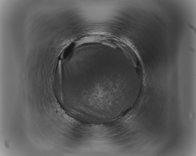 X0000099950385200806061547