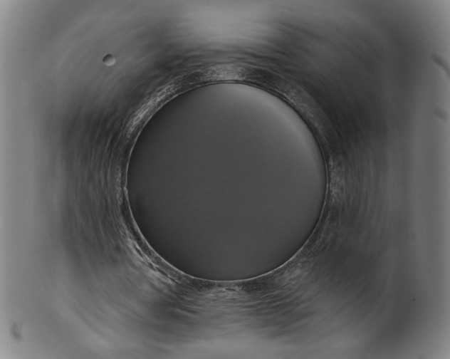 X0000099950386200806061547