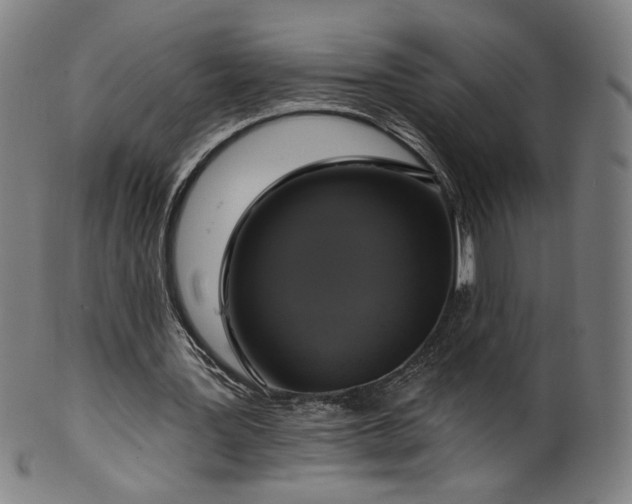 X0000099950387200806061547