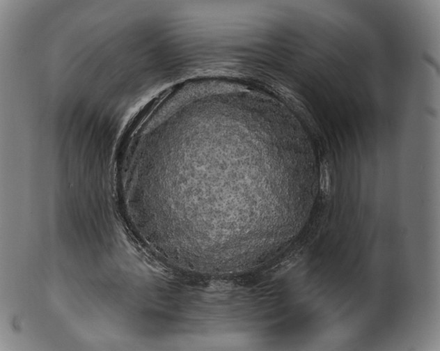 X0000099950388200806061547