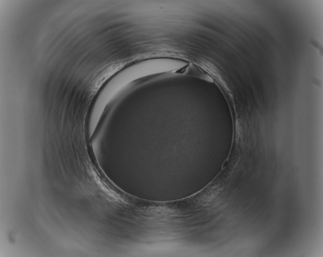 X0000099950389200806061547