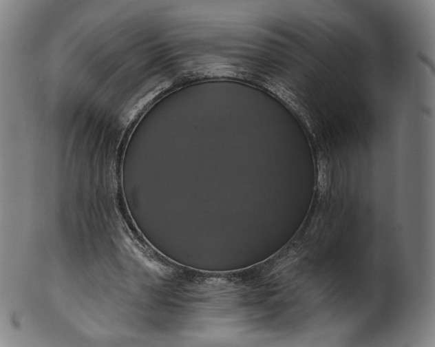 X0000099950390200806061547