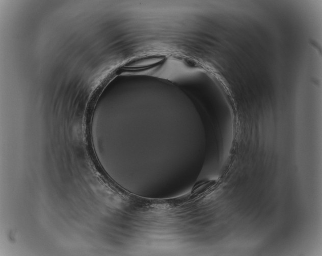 X0000099950391200806061547