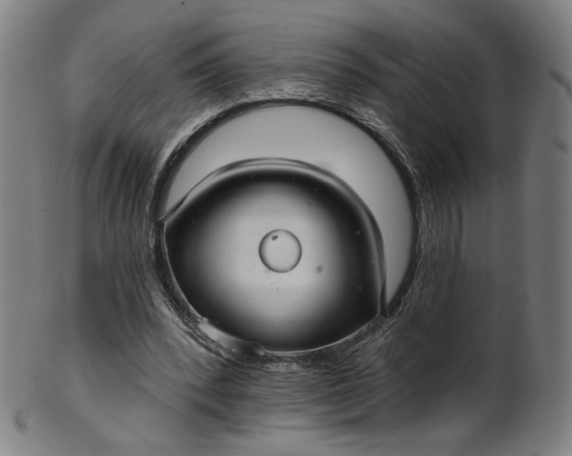 X0000099950392200806061547